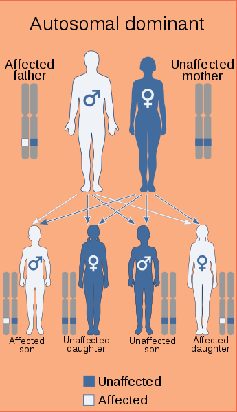 Lynch syndrome is autosomal dominant