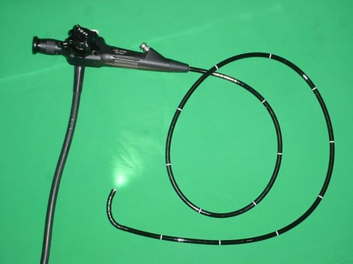 Flexible endoscope