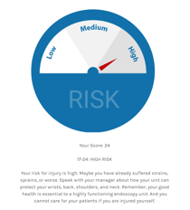 Individual Risk Assesment Preview