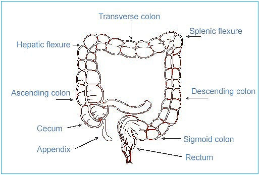 What Is a Difficult Colonoscopy?