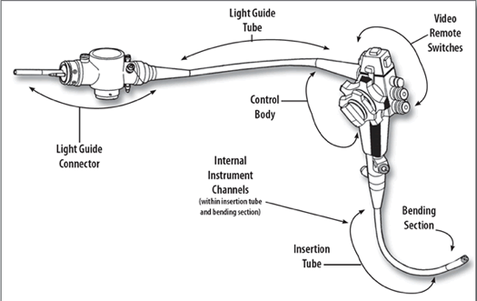 Endoscope parts labeled